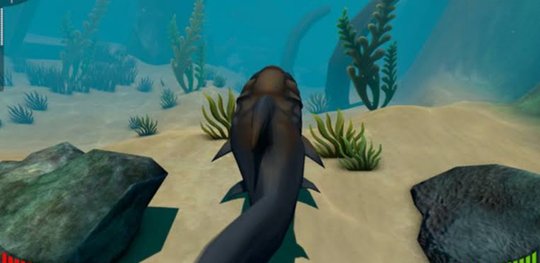 banner img 1