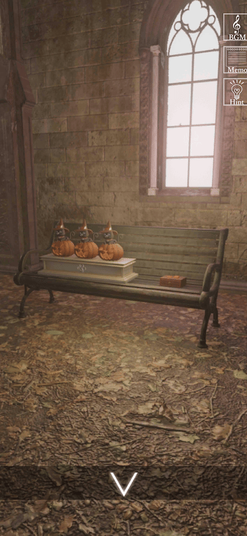 banner img 2