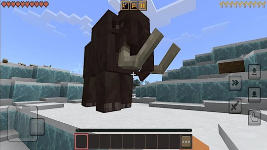 banner img 2