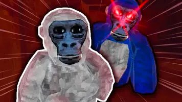 banner img 2