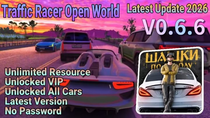Traffic Racer Open World Mod Apk