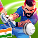 King Of Cricket Games