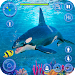 Orca Killer Whale Simulator