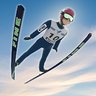 Fine Ski Jumping