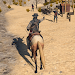 West Cowboy Horse Riding 3D