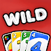 WILD  Card Party Adventure