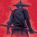 Ninja Arashi 2 Shadow's Return