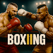 Ultimate Boxing Champion