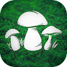 蘑菇獵人模擬器