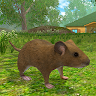 Mouse Simulator rat rodent animal life