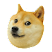 Doge 2048