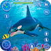 Orca Killer Whale Simulator