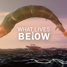 What Lives Below